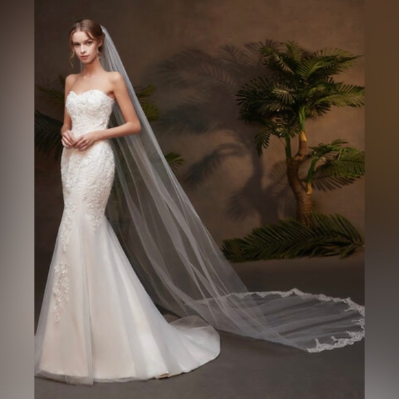 One-tier Lace Applique Edge Cathedral-length Bridal Veil - Picture 2 of 4